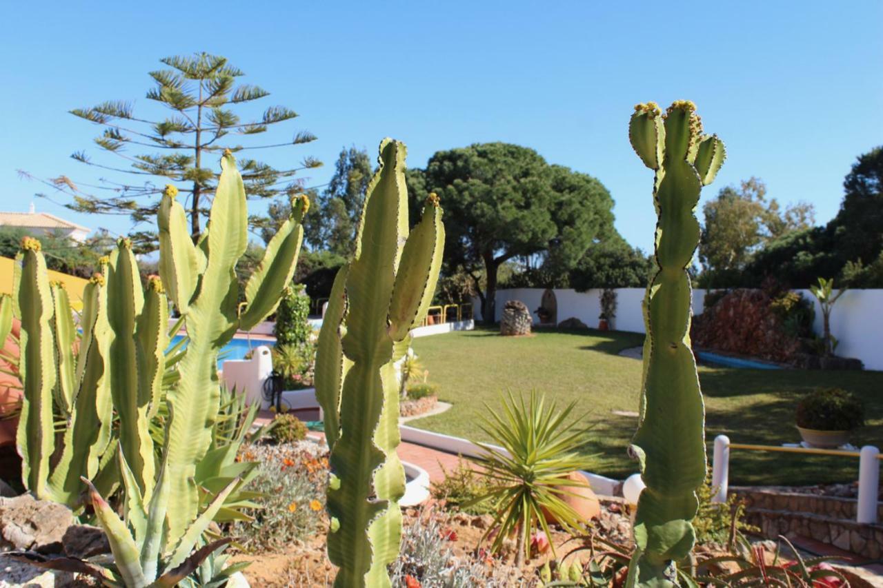 Casa Areias Boutique Apartments Albufeira Zewnętrze zdjęcie