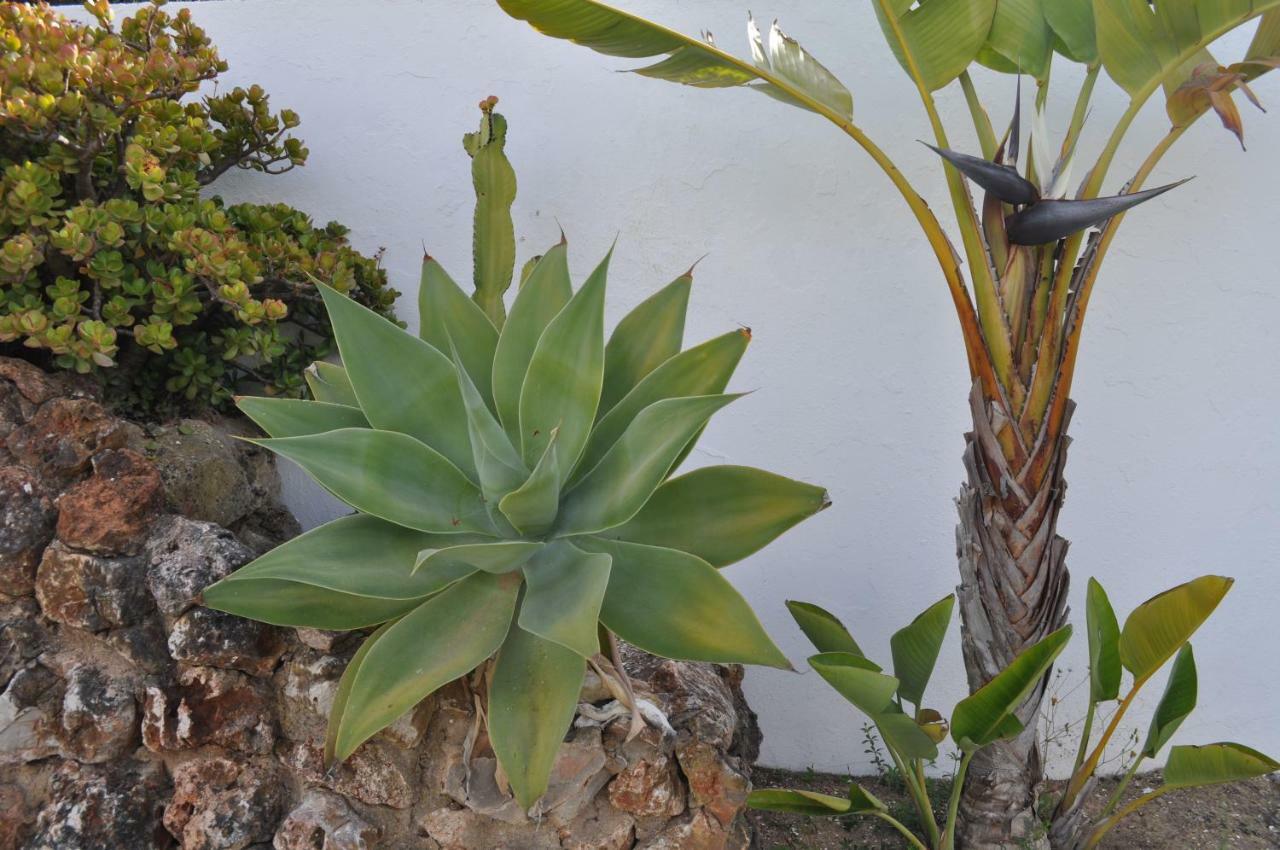 Casa Areias Boutique Apartments Albufeira Zewnętrze zdjęcie